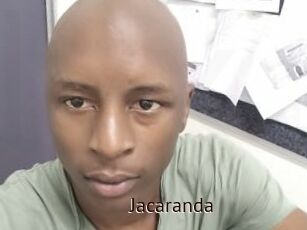 Jacaranda