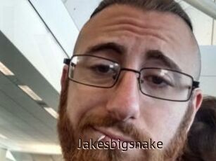 Jakesbigsnake