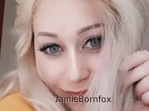 JamieBornfox