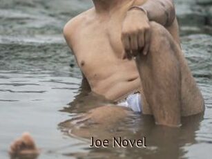 Joe_Novel