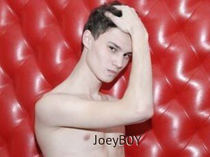 JoeyB0Y