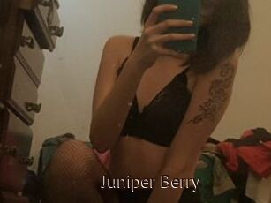 Juniper_Berry