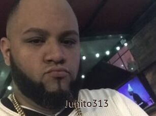 Junito313