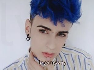 Joeanyway