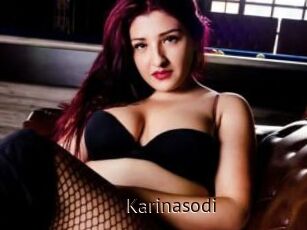 Karinasodi