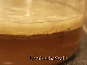 KombuchaStain
