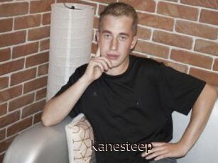 Kanesteep
