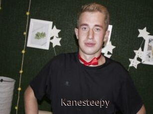 Kanesteepy