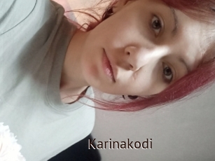 Karinakodi
