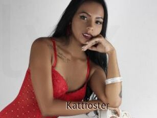 Kattfoster