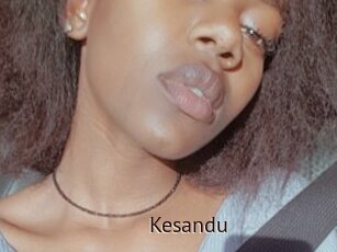 Kesandu