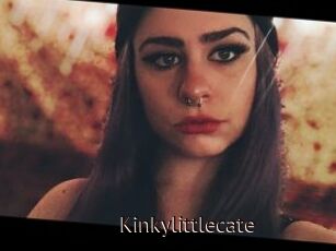 Kinkylittlecate