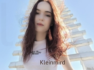 Kleinmird