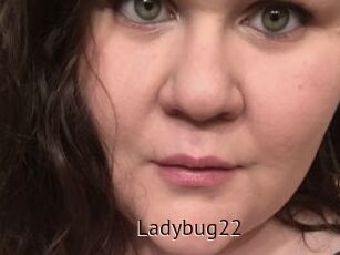 Ladybug22