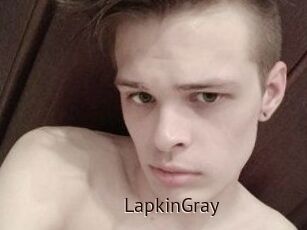 LapkinGray