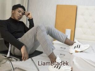 LiamBladek