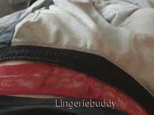 Lingeriebuddy