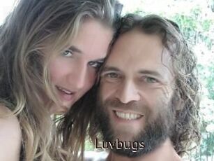 Luvbugs