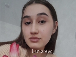 Lamareed