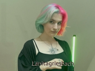 Lanitagriesbach