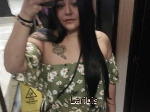 Laribis