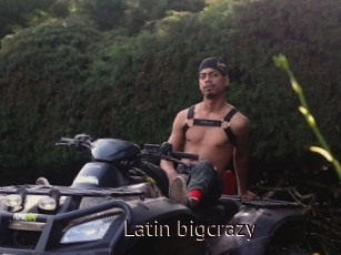 Latin_bigcrazy