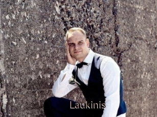 Laukinis