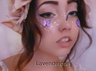Lavendergrey