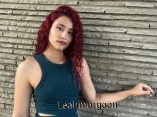 Leahmorgaan