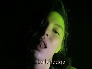 Leilabodge
