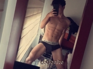 Leoignite