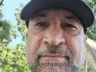 Leoncarpita