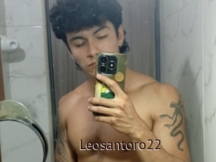 Leosantoro22