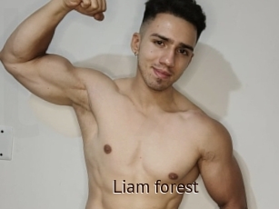 Liam_forest