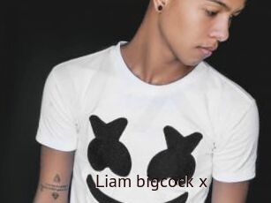 Liam_bigcock_x