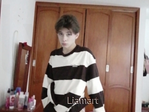 Liamart