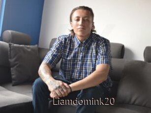 Liamdomink20