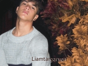 Liamtargaryen