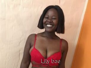 Lily_bae