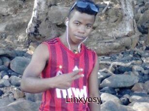 Linxyosy