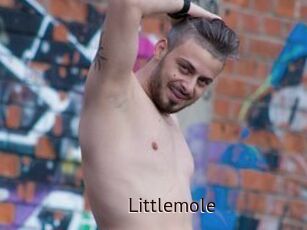 Littlemole