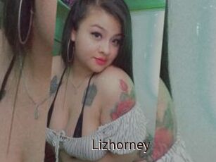 Lizhorney