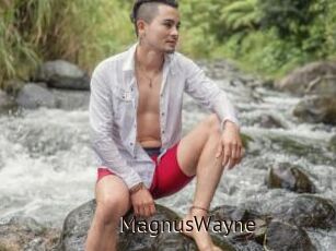 MagnusWayne