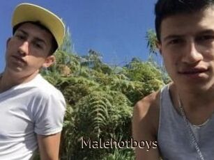 Malehotboys