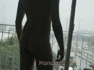 Mandinga