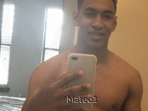 Mateo1