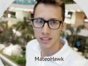 MateoHawk