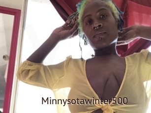 Minnysotawinter500