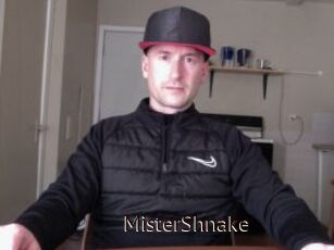 MisterShnake