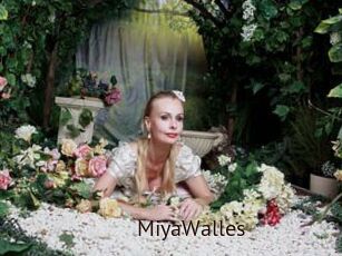 MiyaWalles